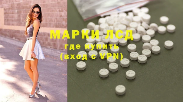 мяу мяу мука Михайловск