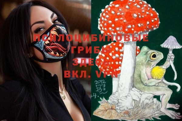 мяу мяу мука Михайловск