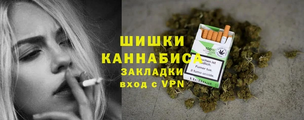 СК Слюдянка