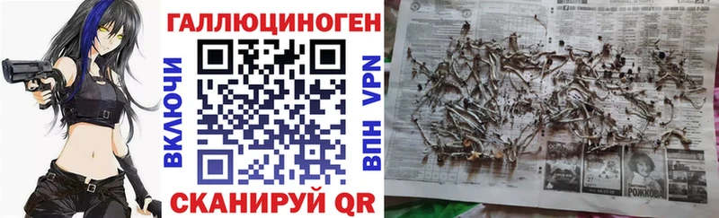 Галлюциногенные грибы Psilocybe  Красновишерск 